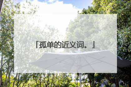 孤单的近义词。