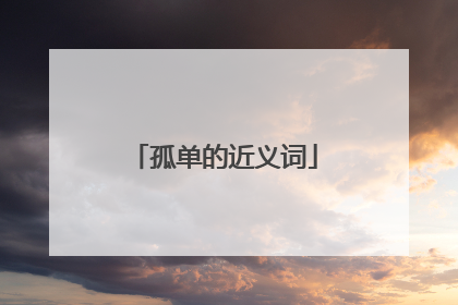 孤单的近义词