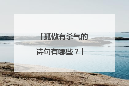 孤傲有杀气的诗句有哪些？