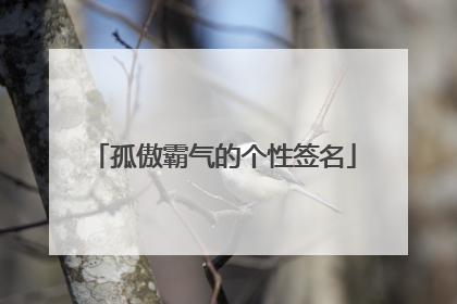 孤傲霸气的个性签名
