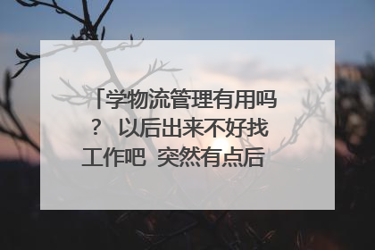 学物流管理有用吗? 以后出来不好找工作吧 突然有点后悔选这个专业了