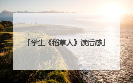 学生《稻草人》读后感