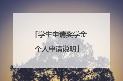 学生申请奖学金个人申请说明
