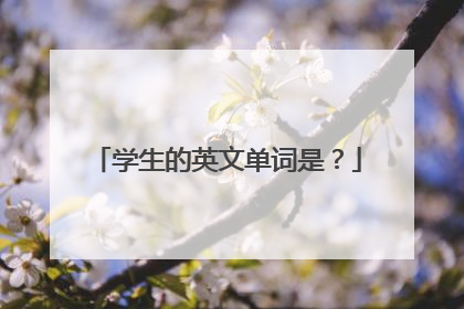学生的英文单词是?
