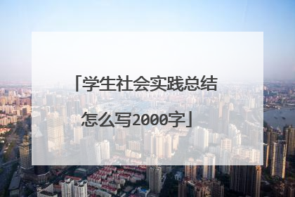 学生社会实践总结怎么写2000字