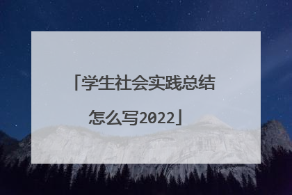 学生社会实践总结怎么写2022