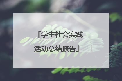 学生社会实践活动总结报告