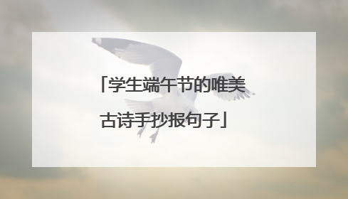 学生端午节的唯美古诗手抄报句子