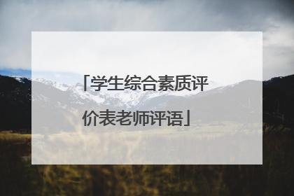 学生综合素质评价表老师评语