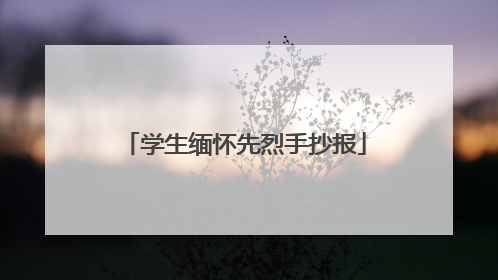 学生缅怀先烈手抄报