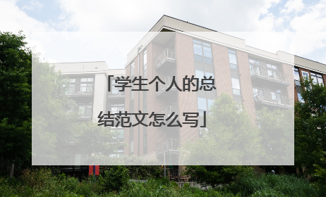 学生个人的总结范文怎么写