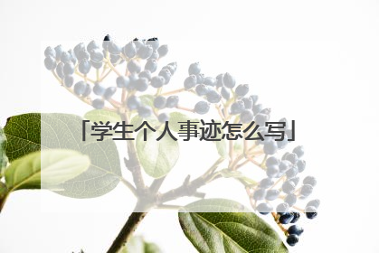 学生个人事迹怎么写
