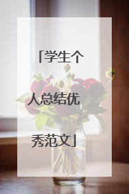 学生个人总结优秀范文