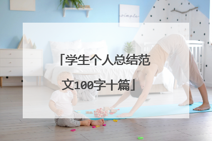学生个人总结范文100字十篇