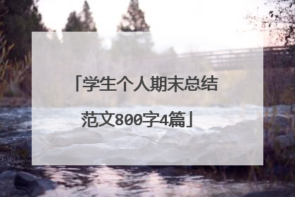学生个人期末总结范文800字4篇