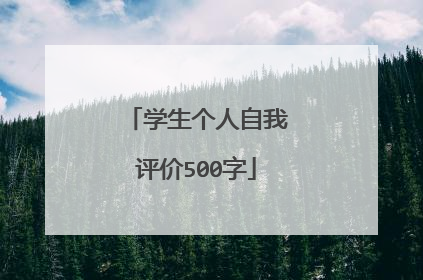 学生个人自我评价500字