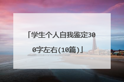 学生个人自我鉴定300字左右(10篇)