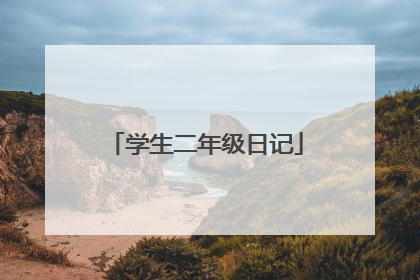 学生二年级日记