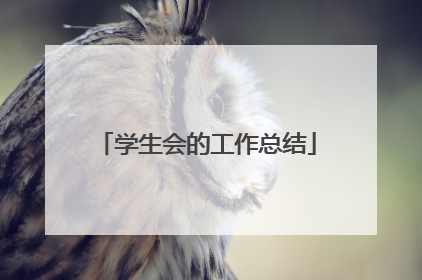 学生会的工作总结
