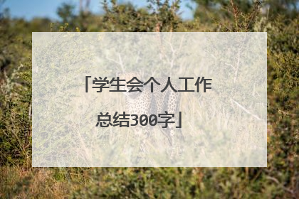 学生会个人工作总结300字