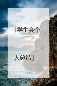 学生会个人总结