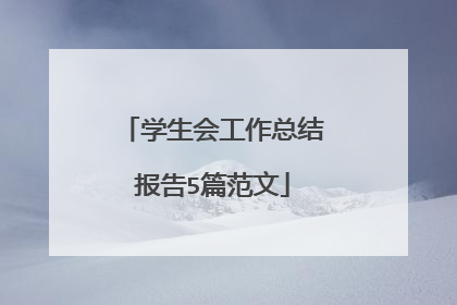 学生会工作总结报告5篇范文