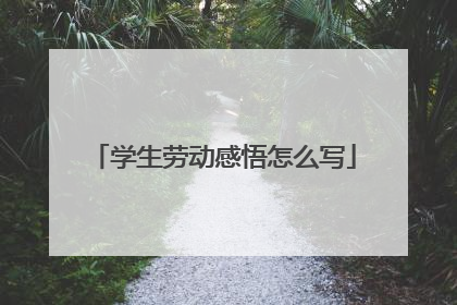 学生劳动感悟怎么写