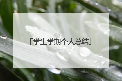 学生学期个人总结