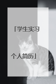 学生实习个人简历