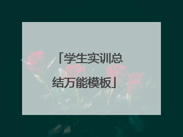 学生实训总结万能模板