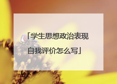 学生思想政治表现自我评价怎么写