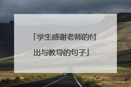 学生感谢老师的付出与教导的句子