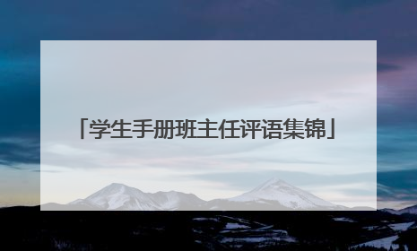 学生手册班主任评语集锦
