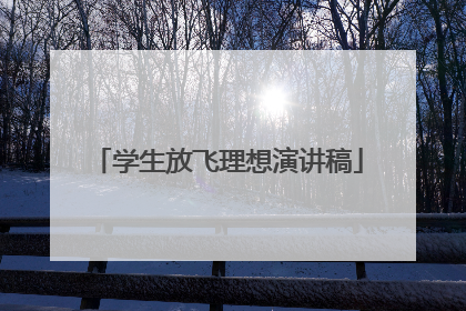 学生放飞理想演讲稿