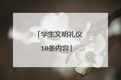 学生文明礼仪10条内容