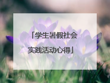 学生暑假社会实践活动心得