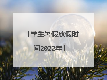 学生暑假放假时间2022年