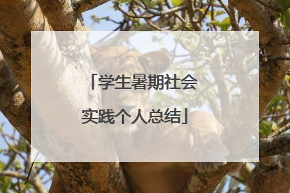 学生暑期社会实践个人总结
