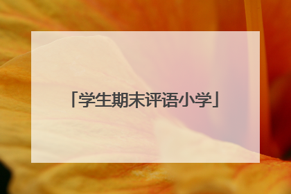 学生期末评语小学