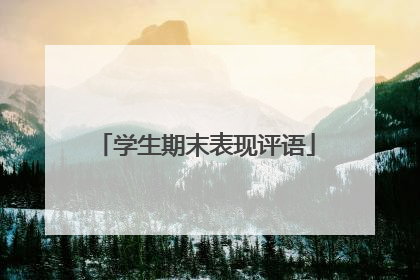 学生期末表现评语
