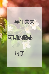 学生未来可期的励志句子