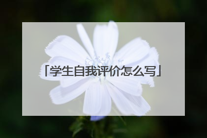 学生自我评价怎么写