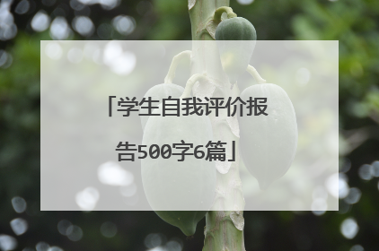 学生自我评价报告500字6篇