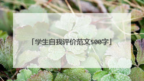 学生自我评价范文500字