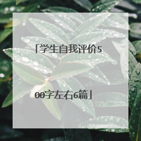 学生自我评价500字左右6篇