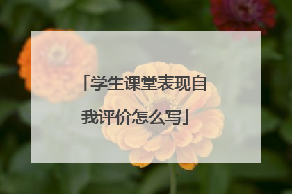 学生课堂表现自我评价怎么写