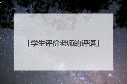 学生评价老师的评语