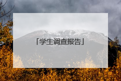 学生调查报告