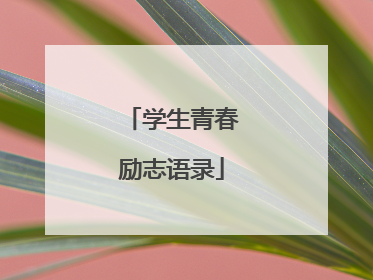 学生青春励志语录