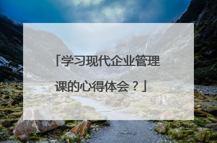 学习现代企业管理课的心得体会?